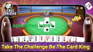 HI309 Game