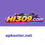 HI309 Game